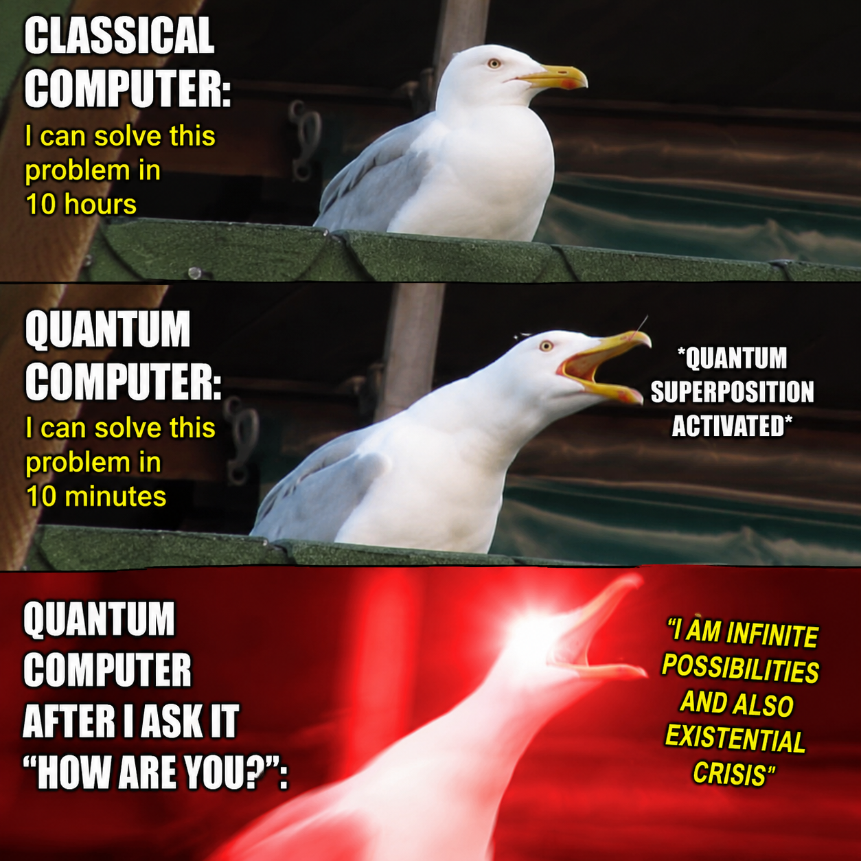 meme3